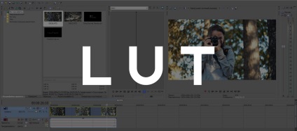 Lut in sony vegas - productie mh - mediu