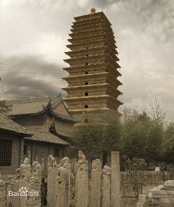 Pagoda de gâscă sălbatică mică