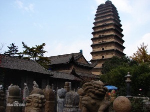 Pagoda de gâscă sălbatică mică