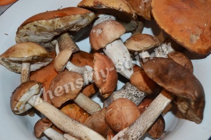 Ciuperci marinate pentru iarnă, podberezoviki, bolete, alb, rețetă cu fotografie