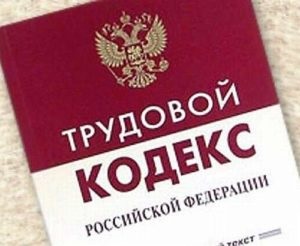 Матеріально відповідальна особа в бюджетній установі, поліції, сестра-господиня, на підприємстві (сестра-господиня) Матеріально відповідальна особа в бюджетній установі, поліції, сестра-господиня, на підприємстві