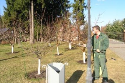 Utilizarea vitriolului de cupru în horticultură și grădinărit