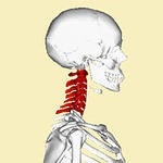 Metode de tratament a neurinomului coloanei vertebrale
