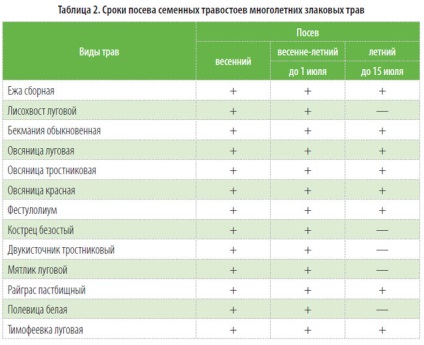 Plantele perene cresc semințe