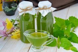 Sirop de menta la domiciliu