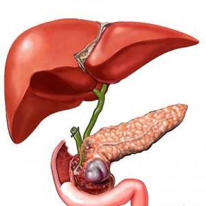 Tulburarea tratamentului de excreție a bilei la domiciliu
