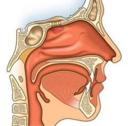 Nas și gură - cauze, simptome și tratament