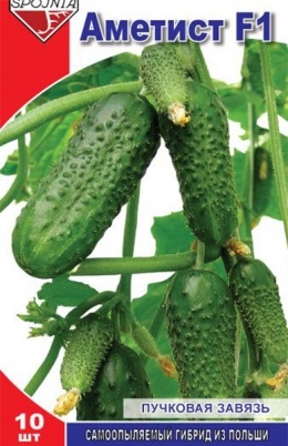 Castravete katsper f1 - cumpara seminte in magazinul online smartsad din Kharkov, kiev, ukraine