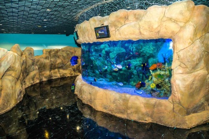 Oceanarium в Crocus City адрес, снимки, цени, как да отида там и какво да се види