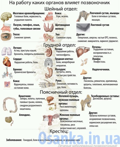 Despre clinica - clinica a medicului Ignatiev