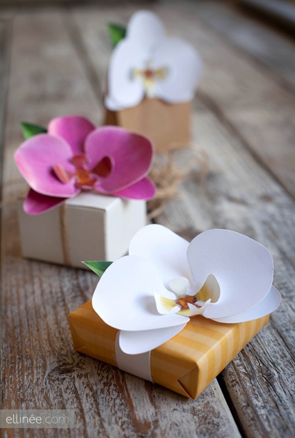 Orhidee din clasa de master de hârtie, șabloane, fotografie