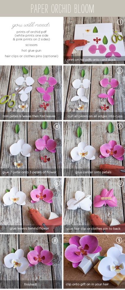 Orhidee din clasa de master de hârtie, șabloane, fotografie