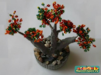 Őszi Bonsai gyöngy