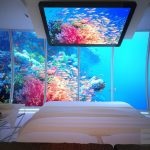 Principalele avantaje și dezavantaje ale acvariului în dormitor, o revizuire detaliată