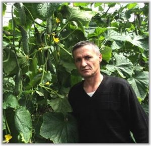 Despre comunitate - un atelier de seră, cultivarea castraveților și a tomatelor într-o seră