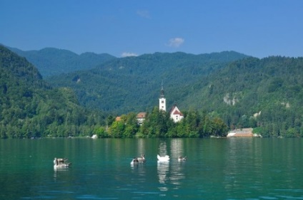 Lacurile palide și bohinj