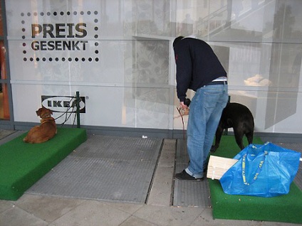 Parcare pentru câini în Köln