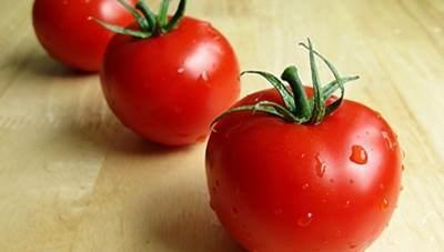 De ce creste lent răsadurile de tomate