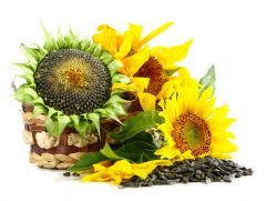 Beneficiile semințelor de floarea-soarelui