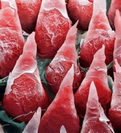 Cunoaște-te 23 fotografii interesante ale organelor umane sub microscop!