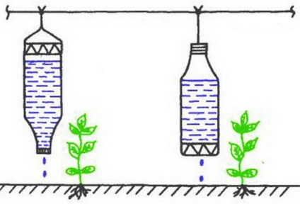 Egyszerű és hatékony csepegtető öntözés, műanyag palackok