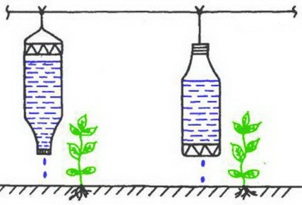Irigare prin picurare simplă și eficientă din sticle de plastic