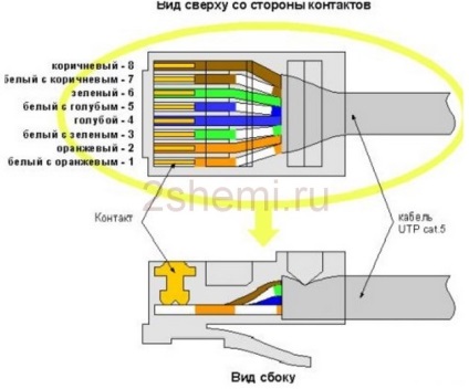 Pinout a unei perechi răsucite de o rețea de 8 fire - schema de culori, 2 circuite