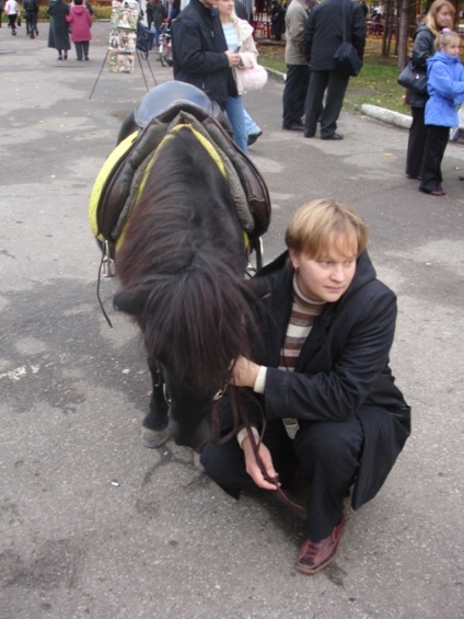 Povestiri despre cai, șeptel de tarabe Tarasovo
