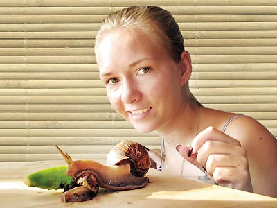 Snail breeding ca o afacere