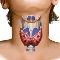 Dezvoltarea hipertiroidismului la femei, simptome de perforare