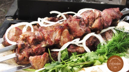 Reteta pentru kebab shish din carne de porc, o marinada simpla pentru kebab shish suci