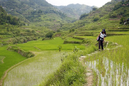 Оризови тераси на Banaue - Филипини атракции - Филипини