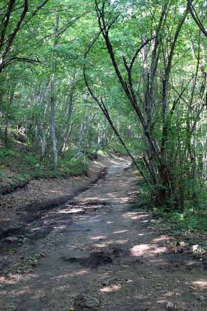 Argint jeturi cascada din Crimeea