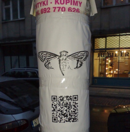 Șoapta din Cicadas