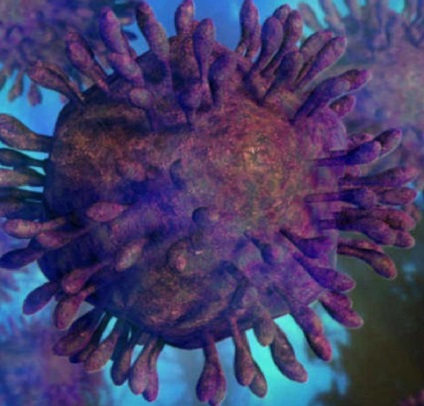 Tünetek a hepatitis C