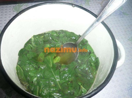 Sirop de menta pentru iarnă - rețetă foto pas cu pas