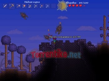 Descărcați terraria 2011 mb