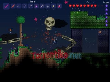 Descărcați terraria 2011 mb