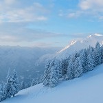 Cât de mult o excursie la revistă Alpi, birdy