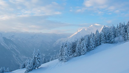 Cât de mult o excursie la revistă Alpi, birdy