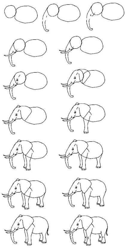 Elefant cum să atragă în etape - cum să atragă o pasăre desenând o pasăre cu un creion