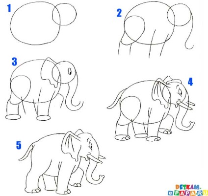 Elefant cum să atragă în etape - cum să atragă o pasăre desenând o pasăre cu un creion