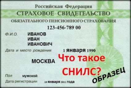 Snils, de ce, cum și unde să obțineți, emiterea unui rezident (cetățean) și a nerezidentului din Federația Rusă