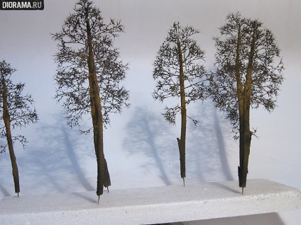Pădurea de pini, tehnologii pentru crearea de diorame, un atelier de lucru pentru