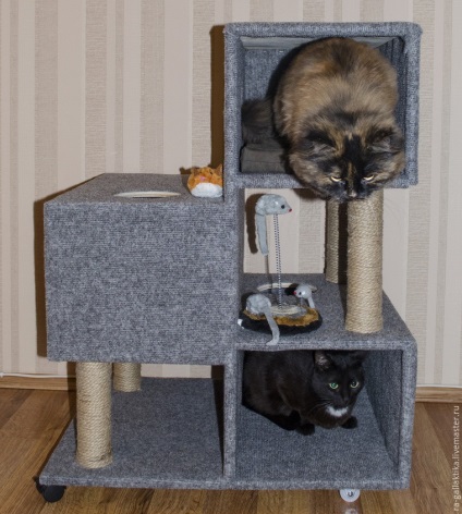 Construim o casă de pisici pentru câteva zile - târg de meșteșugari - manual, manual