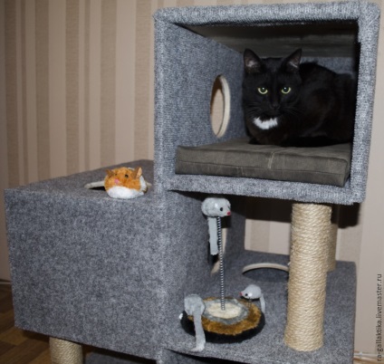 Construim o casa de pisici pentru cateva zile - maestri corecte - manual, manual