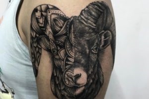 Capricorn fotografie tatuaj - constelație în tatuaj masculin și feminin, duce