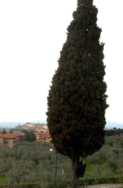 Terme în Italia, casa în italia