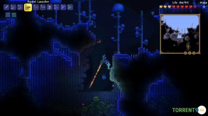 Terraria 1