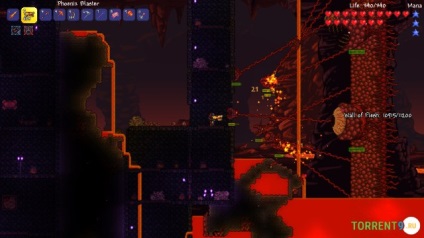 Terraria 1